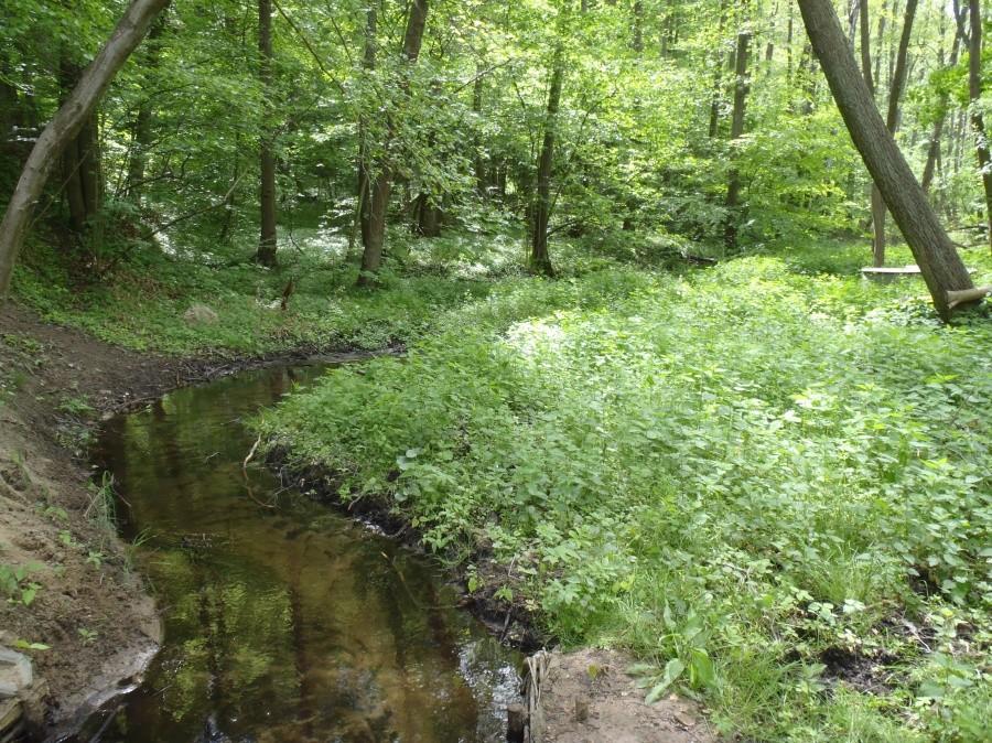 Rzeczka
