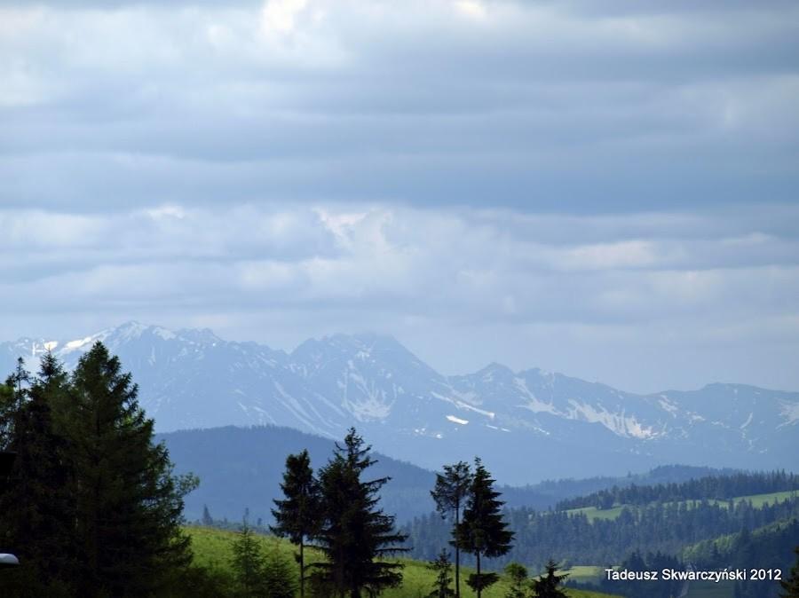 Widok na Tatry z miejscowości Kluszkowce