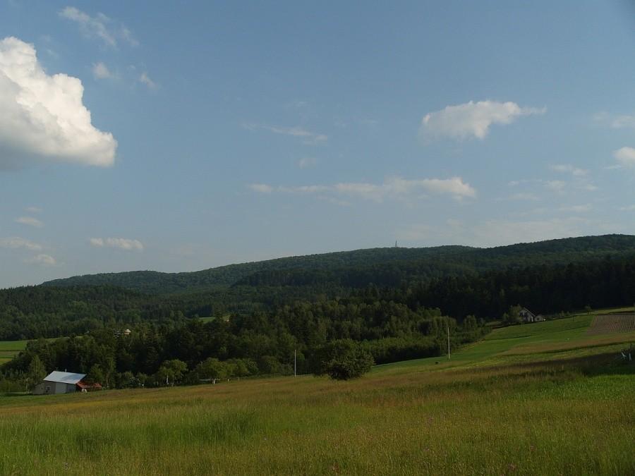 Maślana z Bieśnika