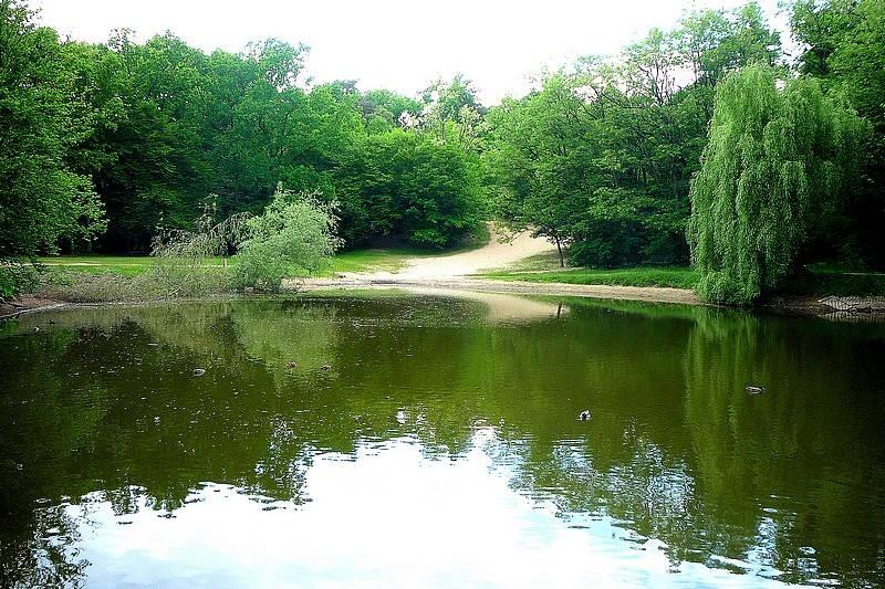 Podkowa Leśna-w parku