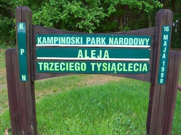 Aleja Trzeciego Tysiąclecia