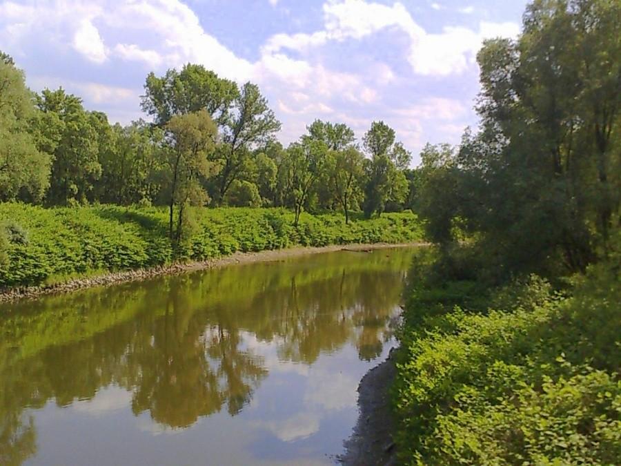 Rzeka Odra w Antosovicach