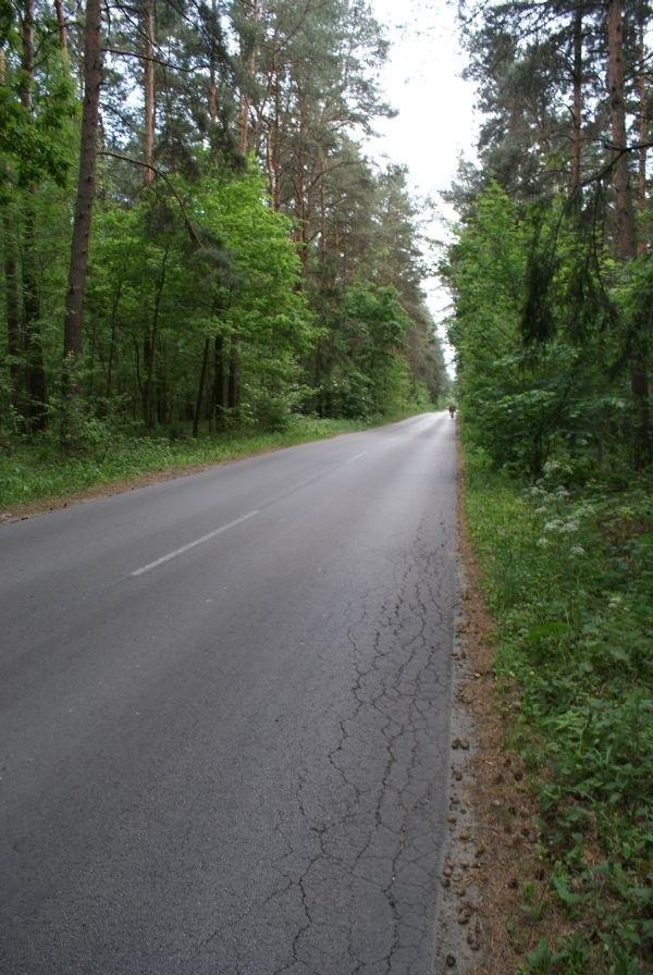 drogą nad Zalew Sulejowski