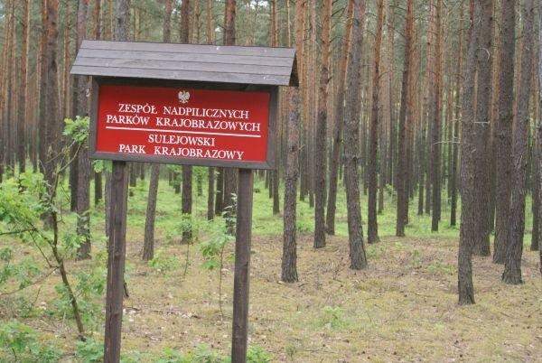 w Parku