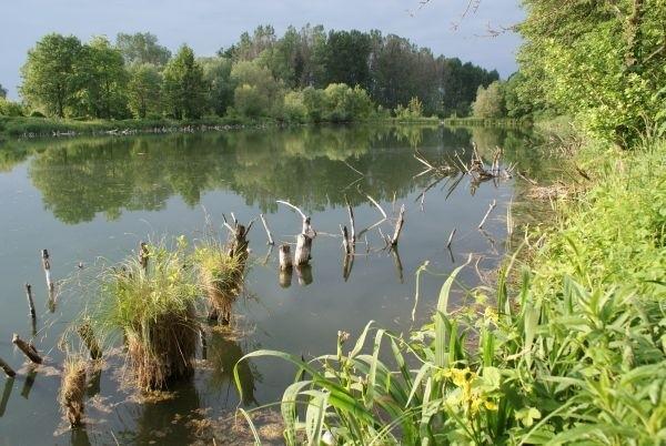 czarne chmury i wyschnięta Pilica