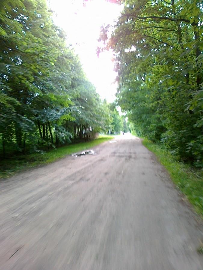 Polna droga na tyłach Latchorzewa