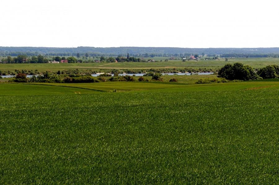 Dolina Dolnej Wisły