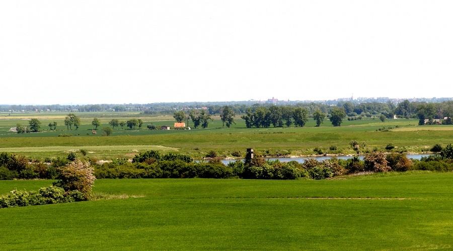 Dolina Dolnej Wisły