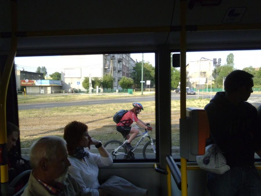Kosma w pogonii za autobusem linii 811 :)