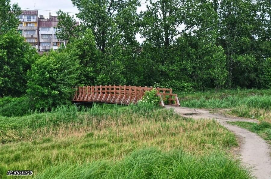 Sosnowiec Naftowa - Kładka nad Brynicą