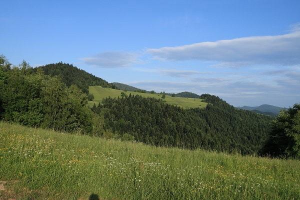 Wierch