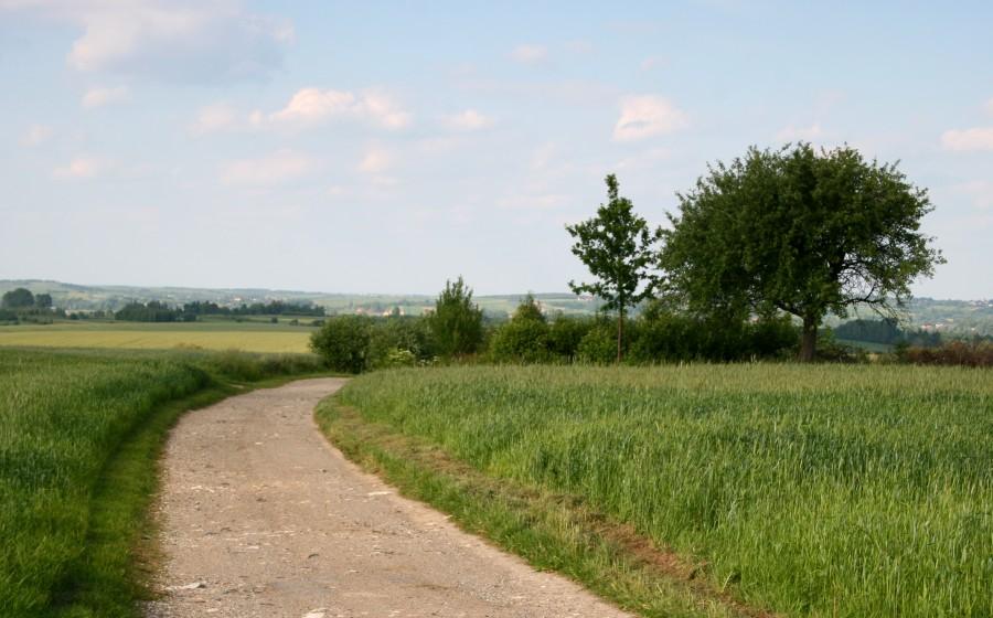 Na szlaku w stronę krzyża w Niechobrzu