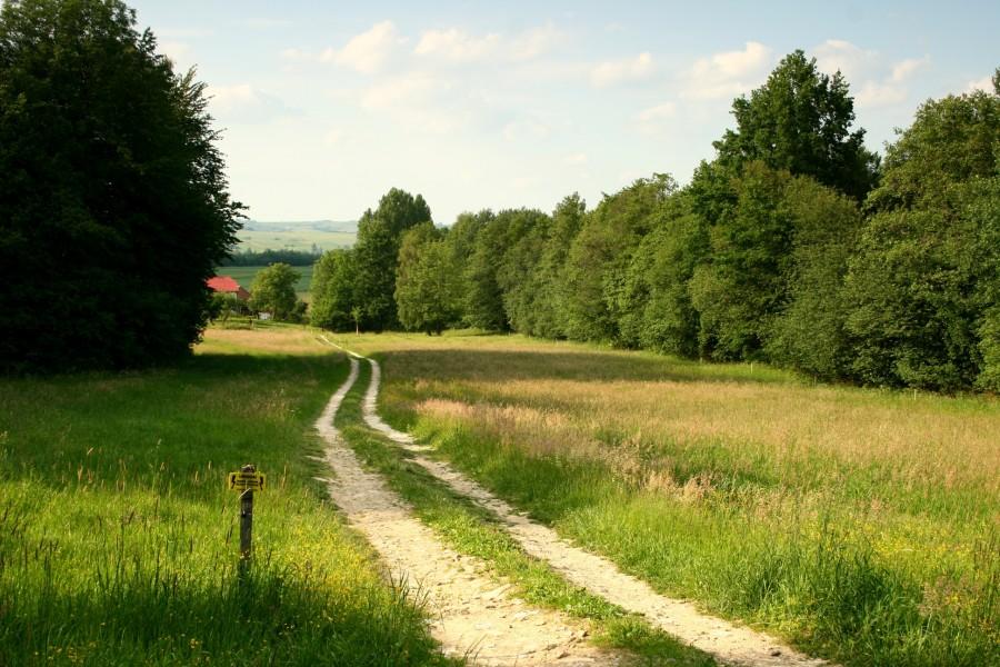 Polna dróżka