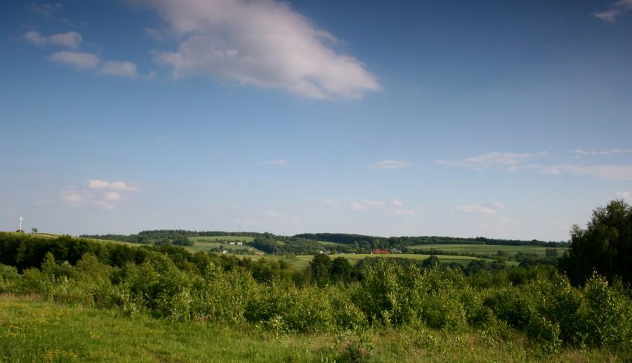 Gdzieś w Niechobrzu