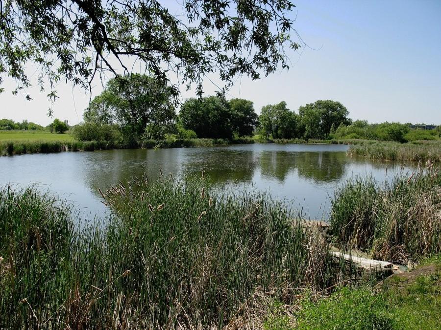 Jezioro Grabowskie