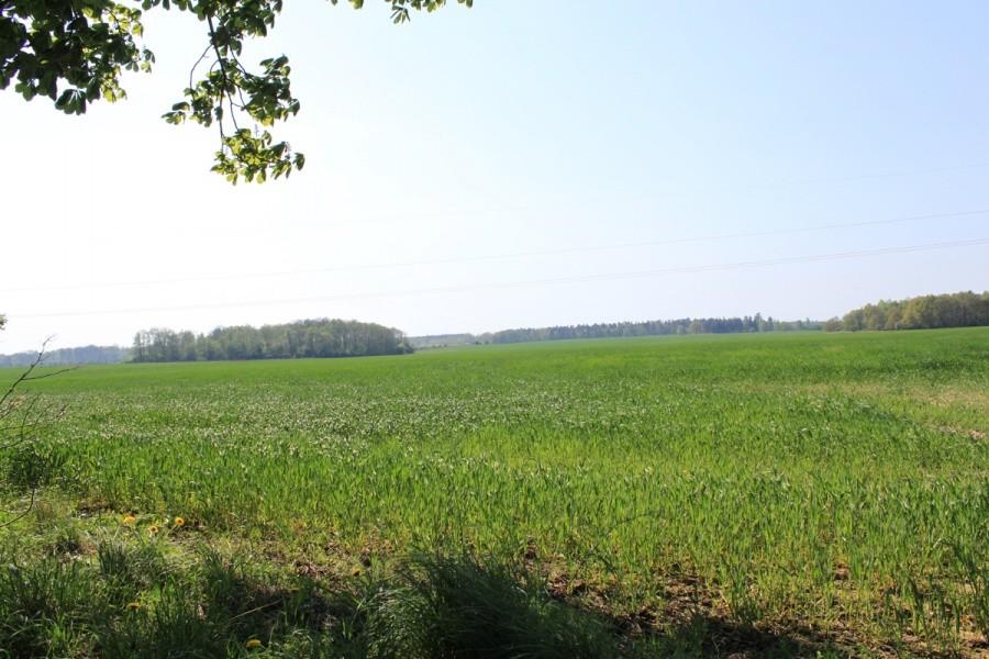 to jest parwdziwa natura