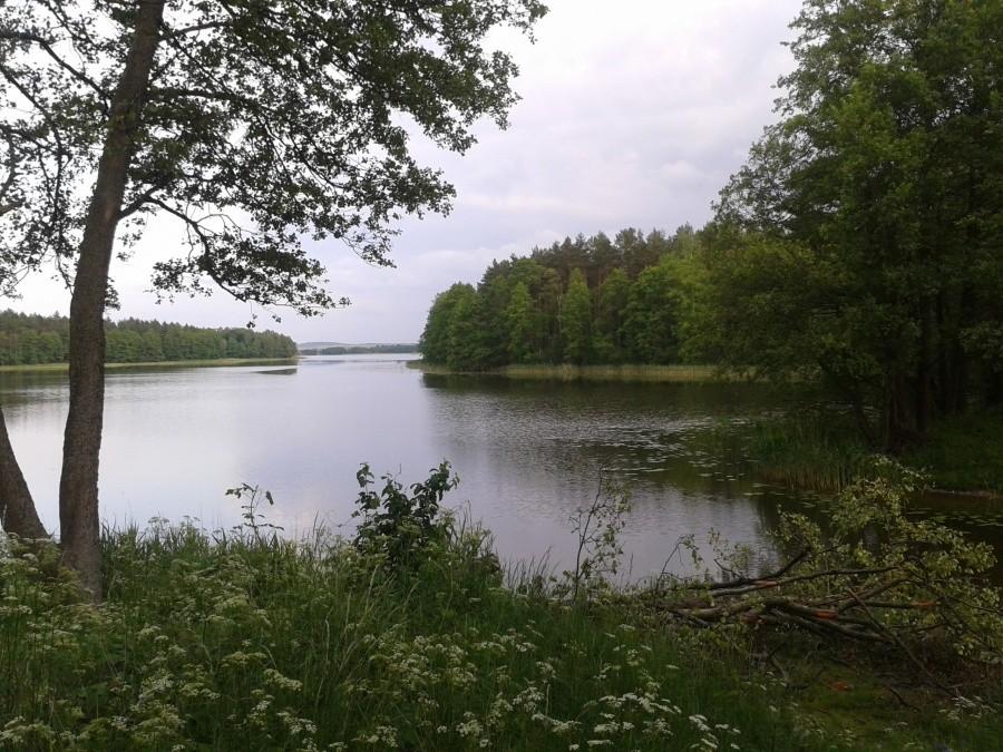 jezioro Lipińskie. Po lewej półwysep śpiąca wypa, po prawej popzostałości po moście.