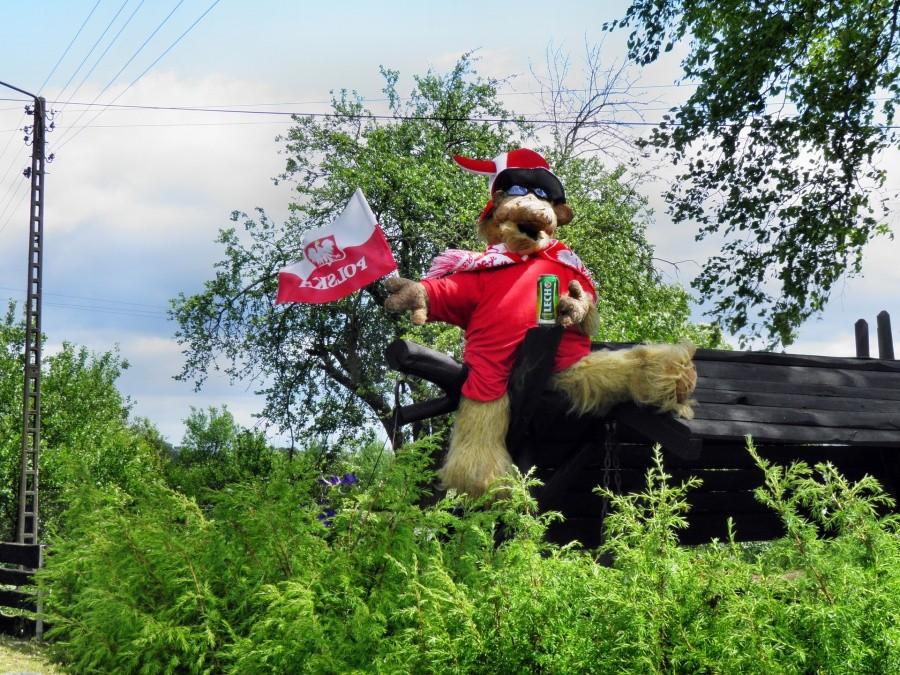 Alf z Tatyni kibicuje reprezentacji Polski .