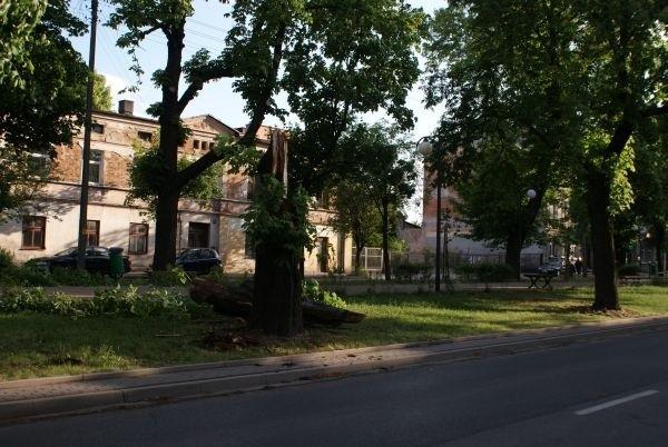 dziś tak szalał wiatr, że łamał drzewa, to stało w Alejach Piłsudskiego.