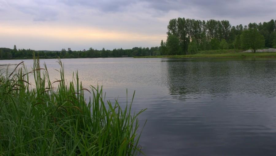 Nad wodą wielką i czystą