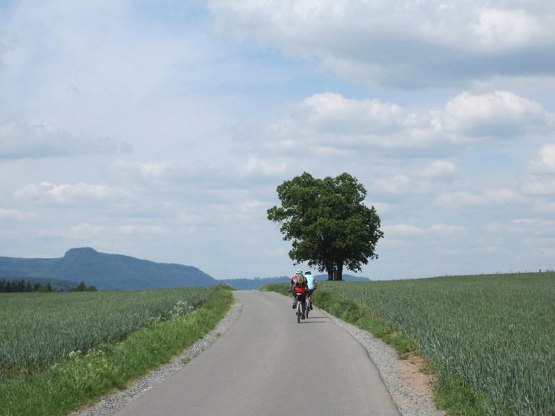 Widok na czeskie górki
