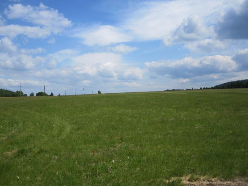 Trawa jak okiem sięgnąć-sawanna