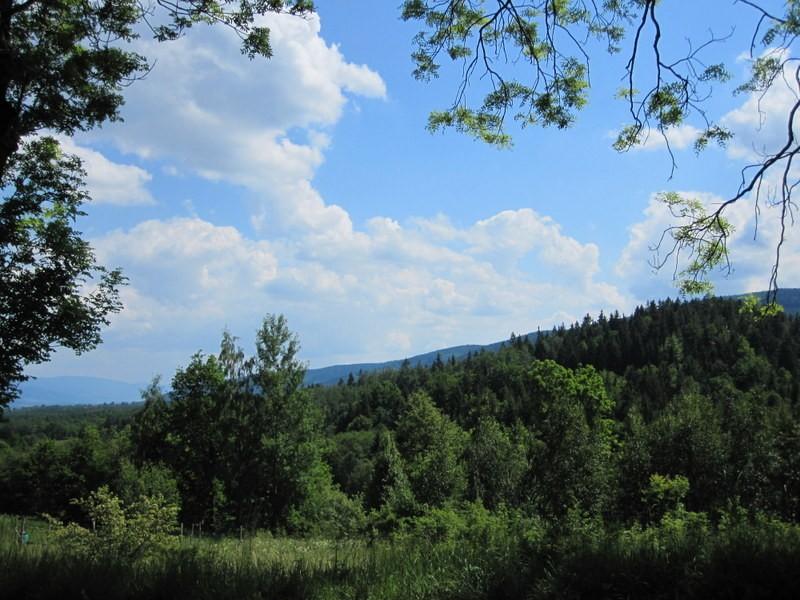 Piękny widok