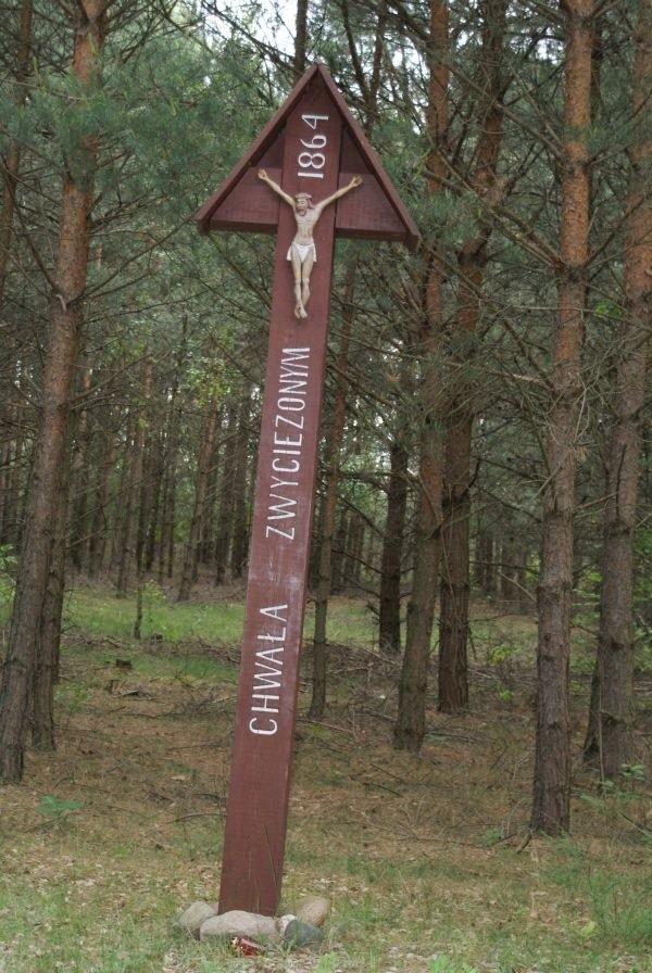 mogiła z 1864r, w lesie koło Golesz, na czarnym szlaku rowerowym