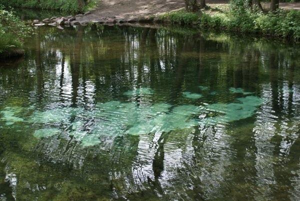 wywierzyska w Rezerwacie Niebieskie Źródła, dziś pięknie je widać ;), a to za sprawą dobrego nasłonecznienia