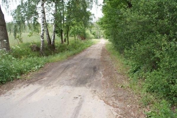czas zacząć przygodę leśną, ale ostrożnie :)