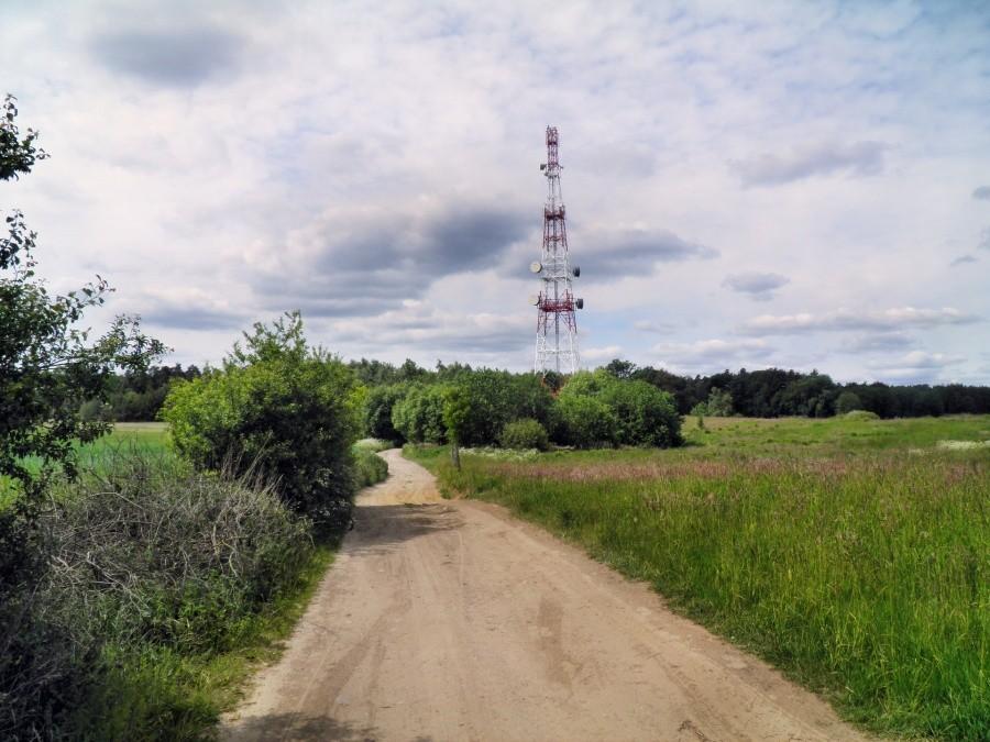Pod lasem, widok spod Przęsocina.
