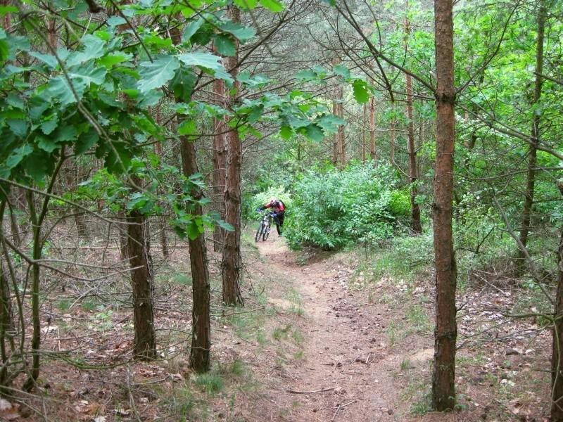 Park Krajobrazowy Promno - ostry podjazd i porażka Wojtasa