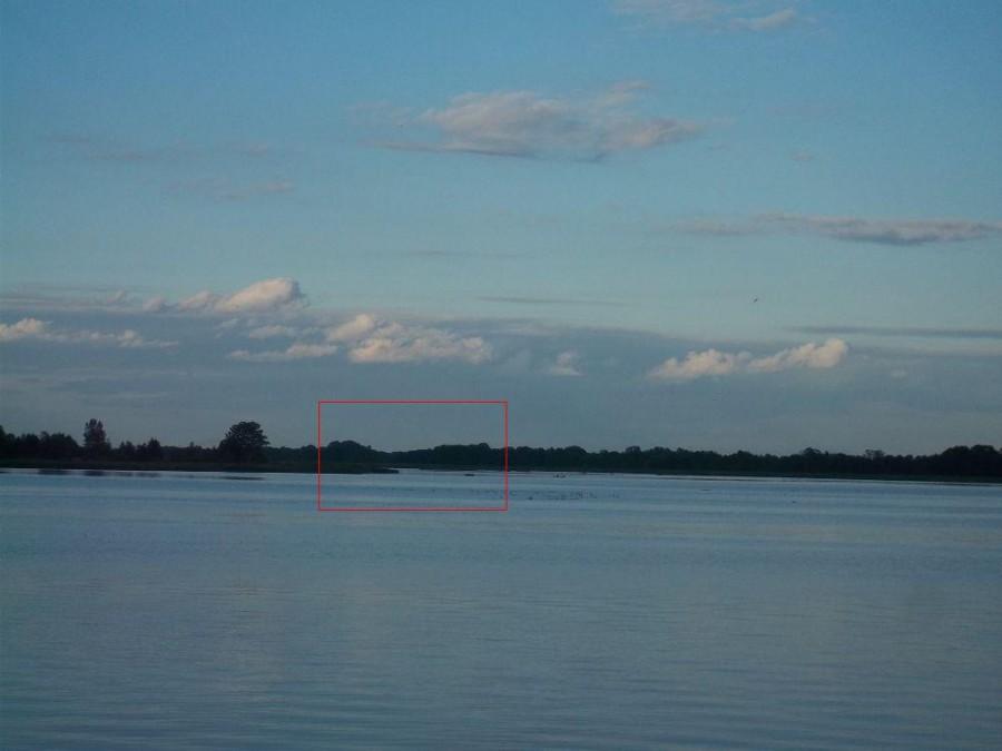 Narew i wpływający do niej Bug