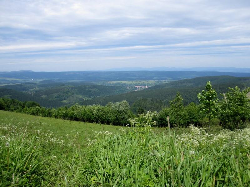 Widok w stronę Dusznik z drogi do Zieleńca