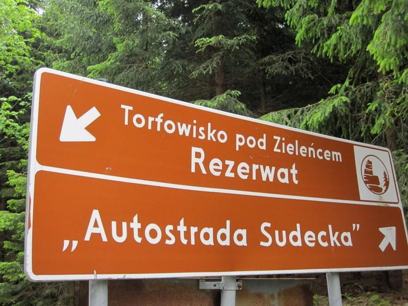Autostradą Sudecką w stronę Spalonej