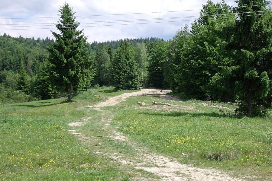 Wygląda zachęcająco