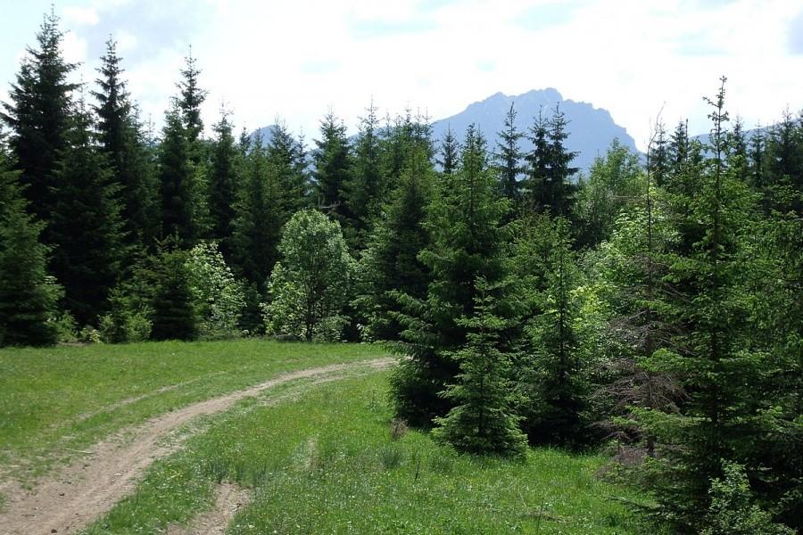 Aż chce sę jechać:)