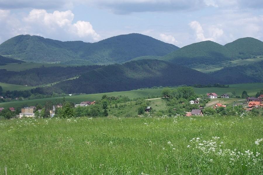 Widoczek