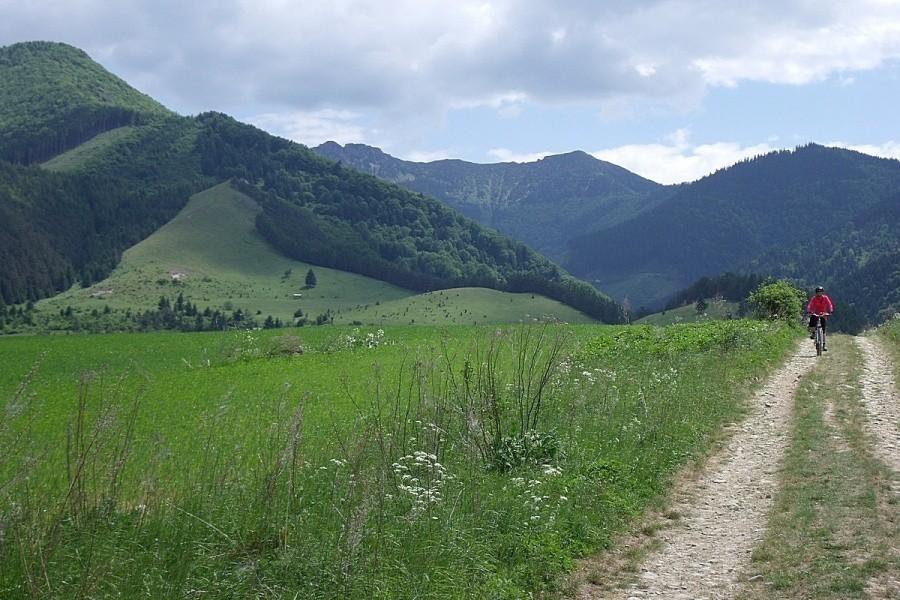 Ela lubi szuter