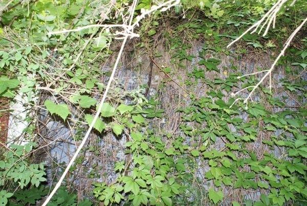 garaż nr.7 na armatę przeciwpancerną Ragelbau 701 (widoczny), choć niecałkiem, bo porośnięty zieleniną ;)
