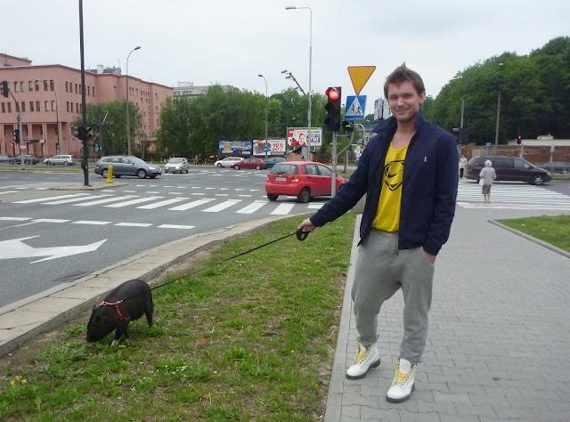 Pies to banał. Teraz świnie są na topie :)