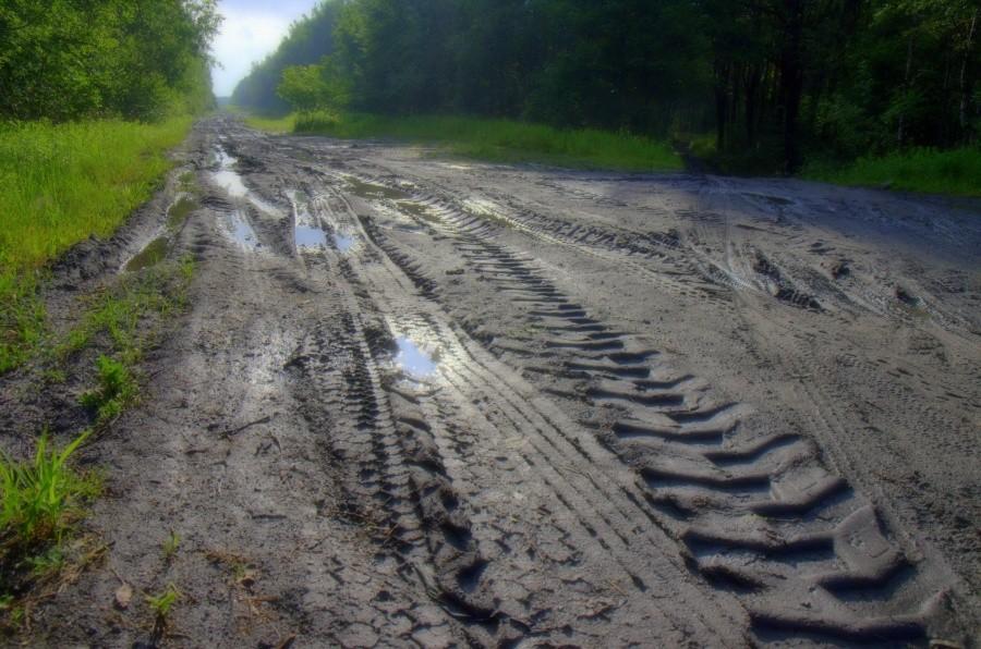 Tu powstają błotne potwory