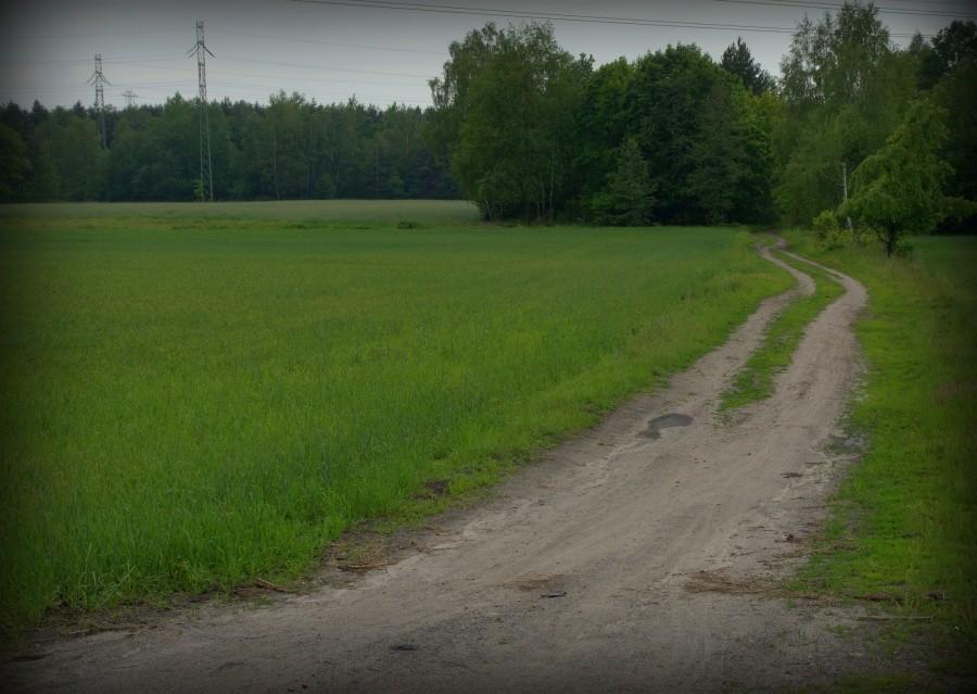 Nie ma śladu po ulewach