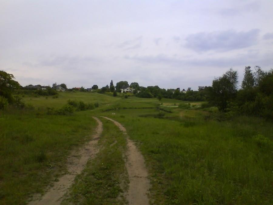 Gruszczyn obok stawów