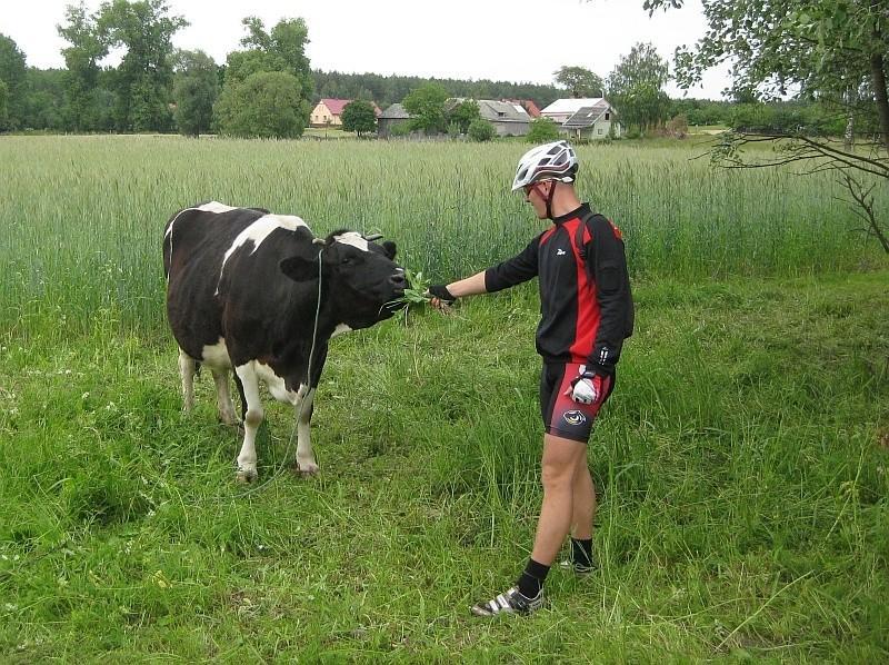 Dokarmiałem mućkę, bo wszystko wokół siebie wykosiła :-)