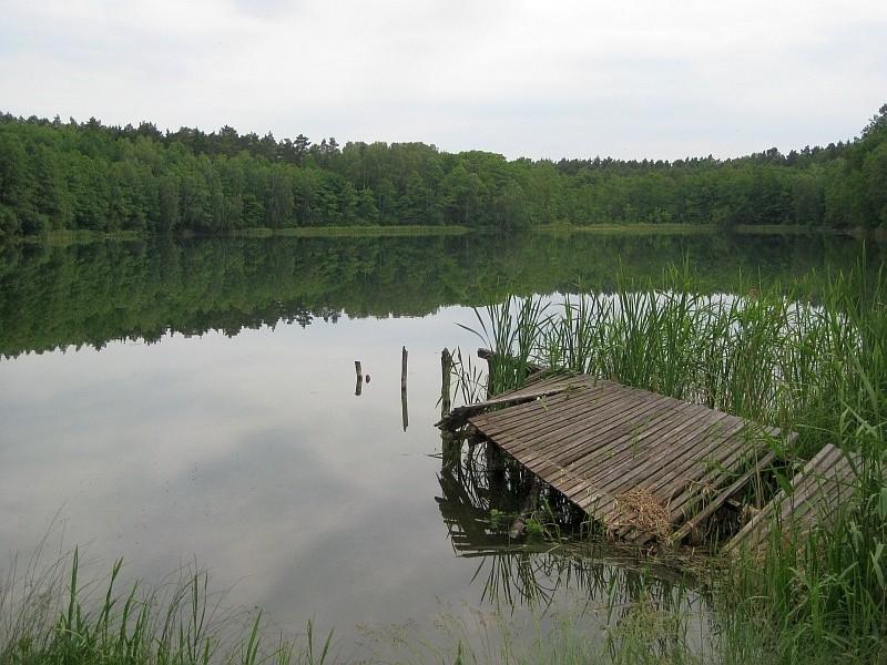 Jezioro Linie nieopodal wsi Dziećmiarki miało piękną krystaliczną wodę