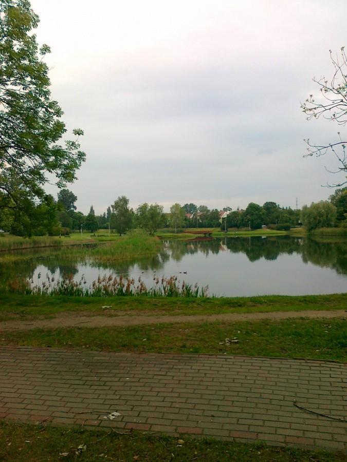 Staw równie ładny jak park