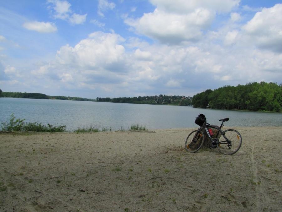 Felt na plaży