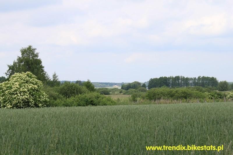 Widok na jezioro Miedwie z Drogi Zieleniewo-Kunowo