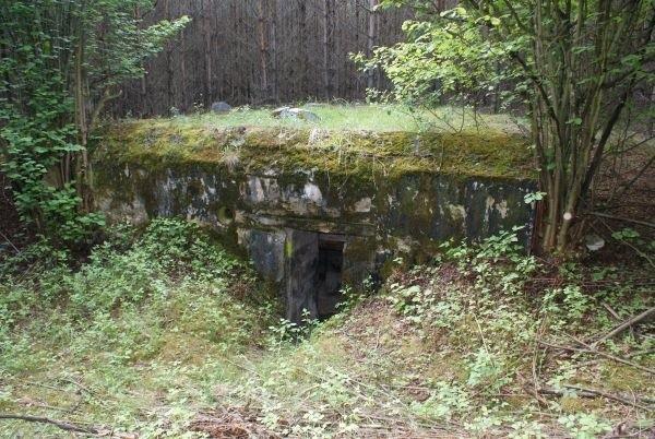 schron nr.31 dla drużyny piechoty Ragelbau 668 (dostępny, również wnętrze, w lesie)